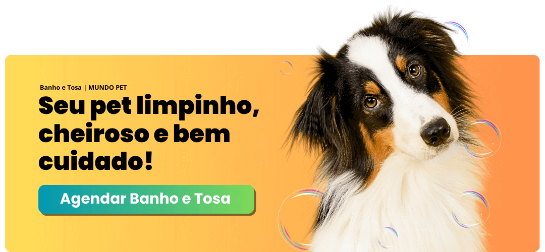 Mundo Pet | Pet shop em Goianésia